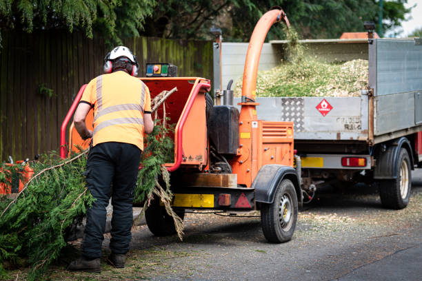 Best Lawn Grading and Leveling  in White City, FL